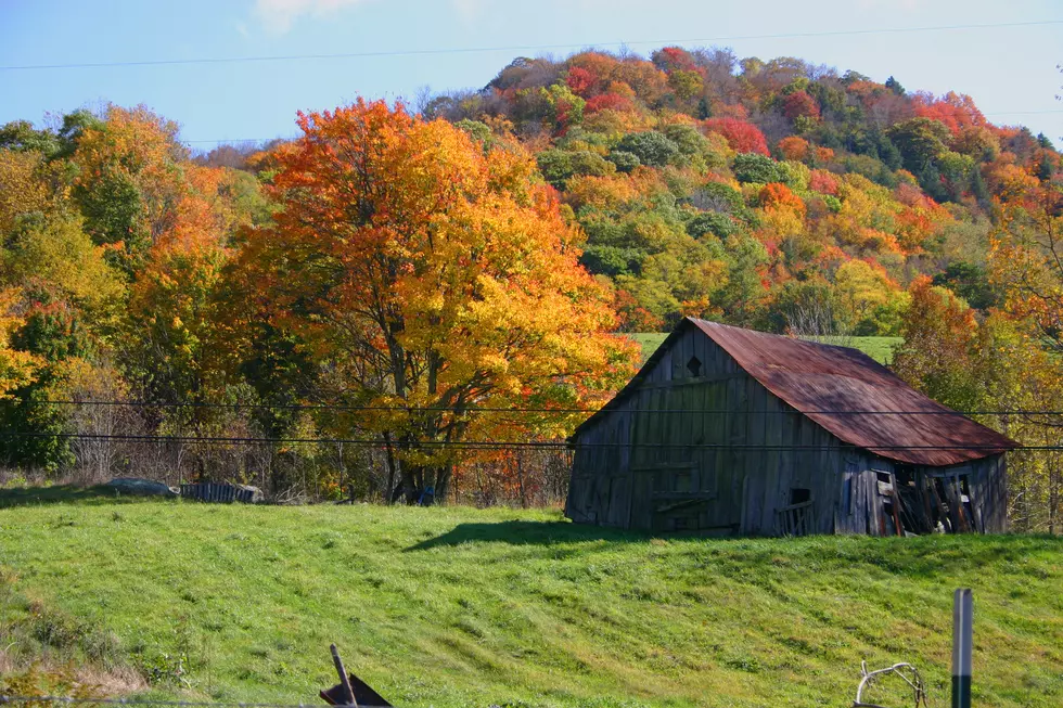 Fall Foliage: Is There Still Fall Autumn Colors To Check-Out?