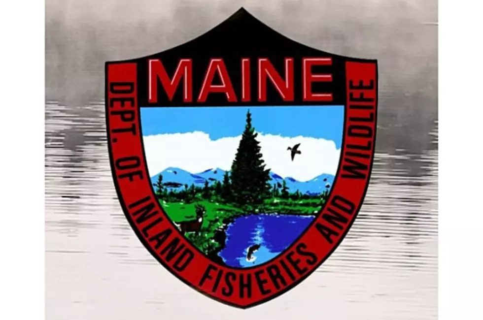 Game Wardens Recover Body of Drowning Victim in Western Maine