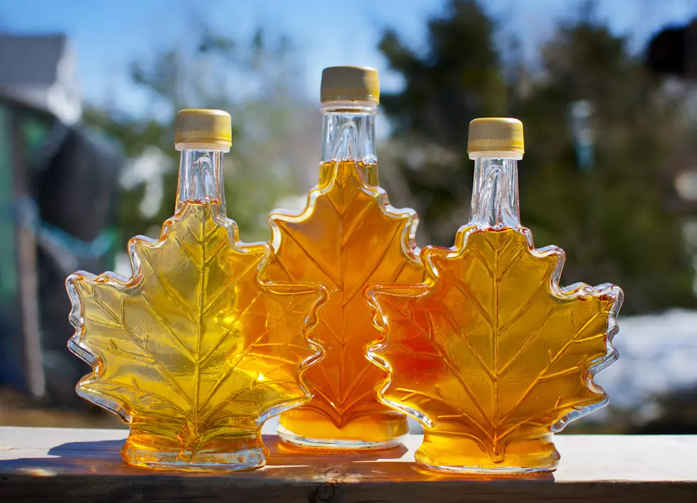 Find Out How This Gooey Goodness Is Made During Maine Maple Sunday
