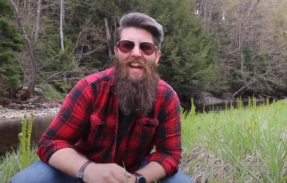 Watch Fascinating Video About Maine Fiddleheadin’ Pros